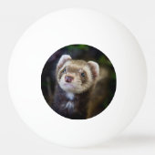 Ferret Pingpongbal (Achterkant)