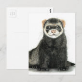 Ferret plezier! briefkaart (Voorkant / Achterkant)