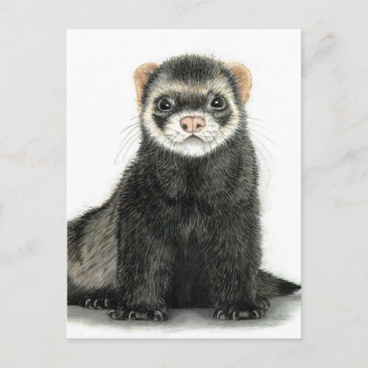 Ferret plezier! briefkaart (Voorkant)