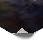 Ferret Poster (Hoek)