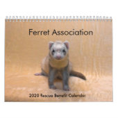 Ferret Rescue Benefit Calendar Kalender (Hoes)