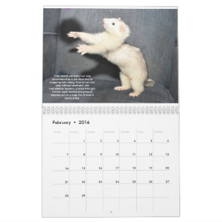 Ferret Rescue Benefit Calendar Kalender