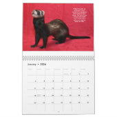 Ferret Rescue Benefit Calendar Kalender (Jan 2026)