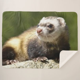FERRET SHERPA DEKEN