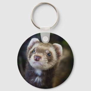 Ferret Sleutelhanger