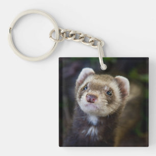 Ferret Sleutelhanger