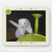 Ferret Spring - MousePad Muismat (Voorkant)
