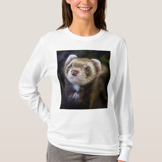 Ferret T-shirt (Voorkant)