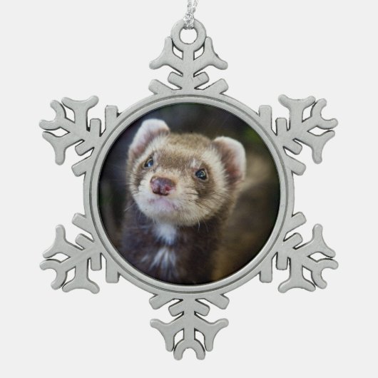 Ferret Tin Sneeuwvlok Ornament (Voorkant)