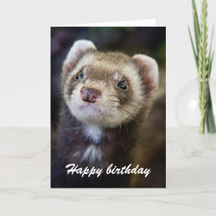 Ferret-verjaardag Kaart