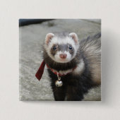 Ferret Vierkante Button 5,1 Cm (Voorkant)