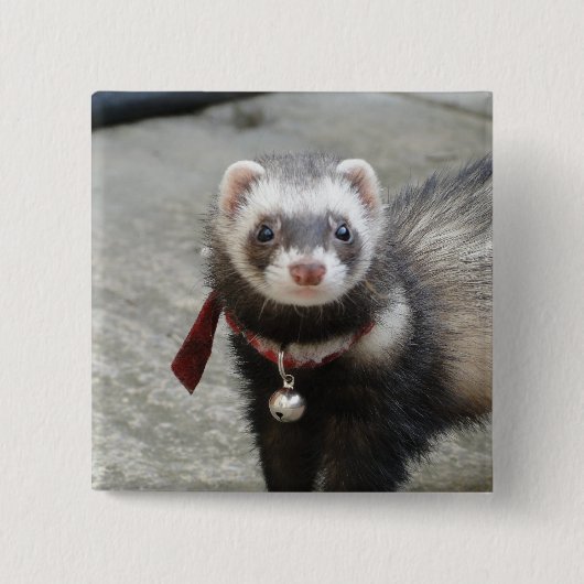 Ferret Vierkante Button 5,1 Cm (Voorkant)