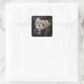 Ferret Vierkante Sticker (Tas)