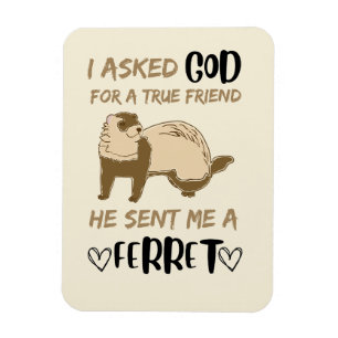Ferret Vriend Schattig Funny Pet Animal Bestie Magneet