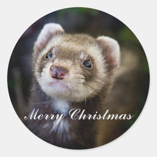 Ferret Vrolijk kerstfeest Ronde Sticker (Voorkant)