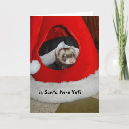 Ferret wacht op kerstman Kaart