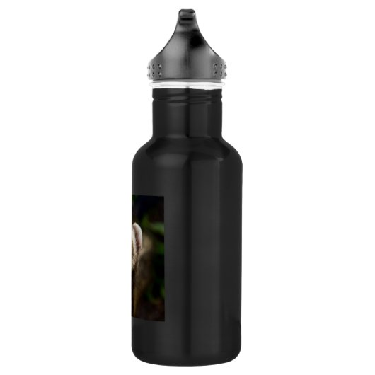 Ferret Waterfles (Rechts)
