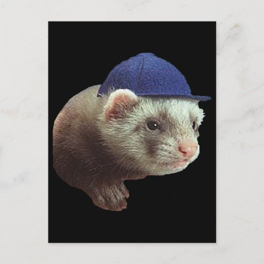 Ferret Wearing Pet Briefkaart (Voorkant)
