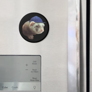 Ferret Wearing Pet Magnet