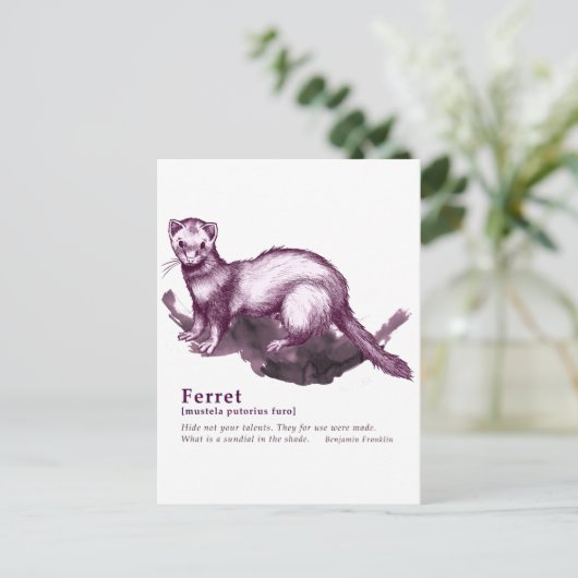 Ferret - wijn briefkaart (Staand voorkant)