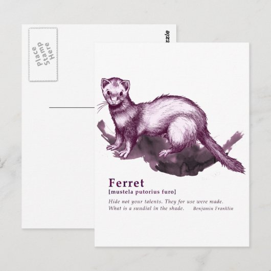 Ferret - wijn briefkaart (Voorkant / Achterkant)