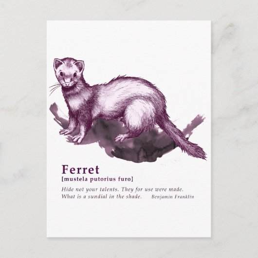 Ferret - wijn briefkaart (Voorkant)