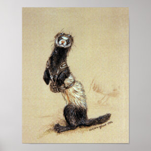 Ferretrooper — Afdruk of Poster