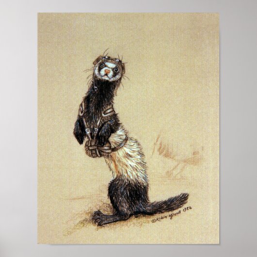 Ferretrooper — Afdruk of Poster (Voorkant)