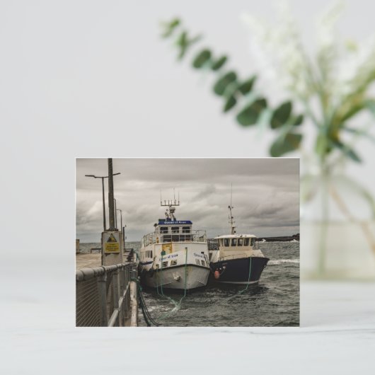 "Ferries at Doolin Pier"-briefkaarten Briefkaart (Staand voorkant)