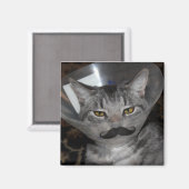 ferris mewler Magnet (Voorkant / Achterkant)