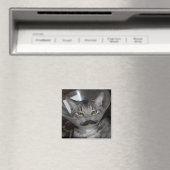 ferris mewler Magnet (Insitu (Vaatwasser))