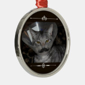 Ferris Mewler snornament Metalen Ornament (Rechts)