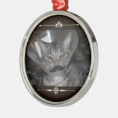 Ferris Mewler snornament Metalen Ornament (Links)