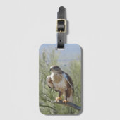 Ferruginous Hawk Bagagelabel (Voorkant (verticaal))