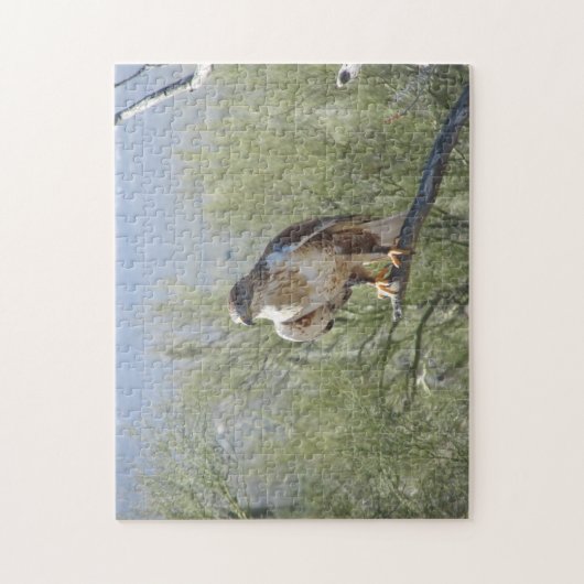 Ferruginous Hawk Legpuzzel (Verticaal)