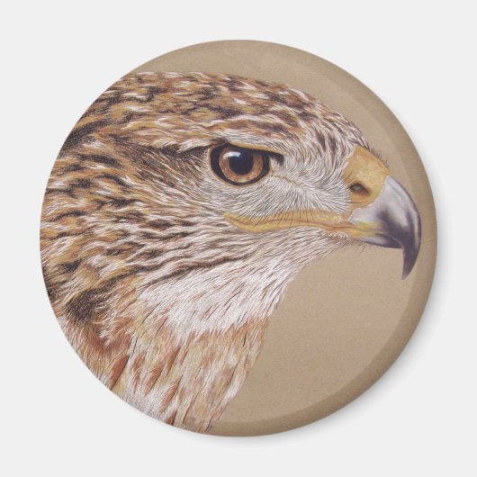 Ferruginous Hawk Magneet (Voorkant)