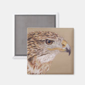 Ferruginous Hawk Magneet (Voorkant / Achterkant)