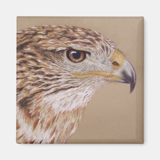 Ferruginous Hawk Magneet (Voorkant)