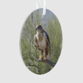 Ferruginous Hawk Ornament (voorkant)
