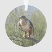 Ferruginous Hawk Ornament (achterkant)
