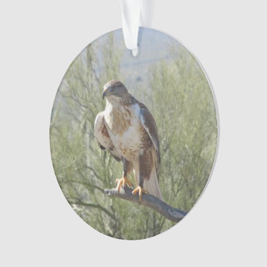 Ferruginous Hawk Ornament (voorkant)