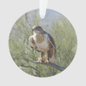 Ferruginous Hawk Ornament (voorkant)