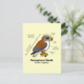 Ferruginous Hawk Statistics Briefkaart (Staand voorkant)