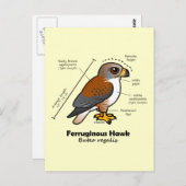 Ferruginous Hawk Statistics Briefkaart (Voorkant / Achterkant)