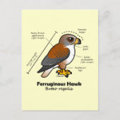 Ferruginous Hawk Statistics Briefkaart (Voorkant)