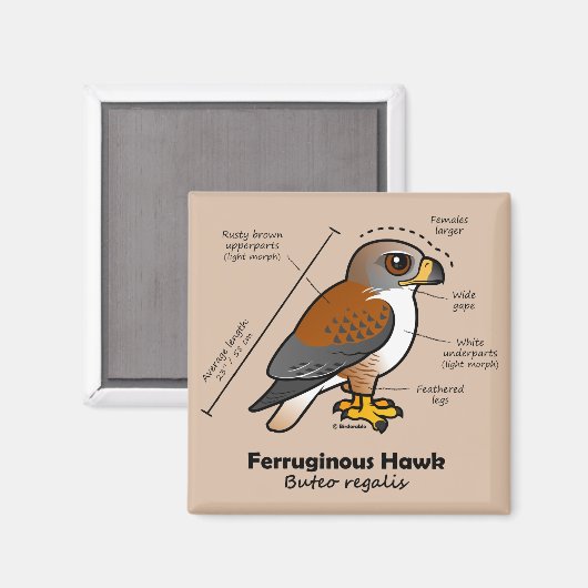 Ferruginous Hawk Statistics Magneet (Voorkant / Achterkant)