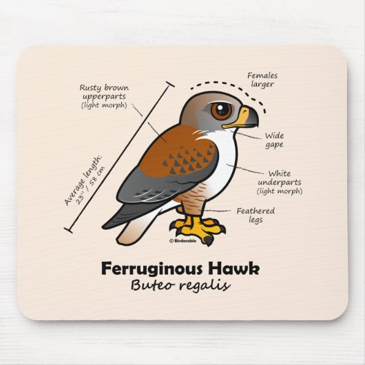 Ferruginous Hawk Statistics Muismat (Voorkant)
