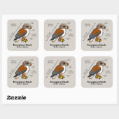 Ferruginous Hawk Statistics Vierkante Sticker (Vel)