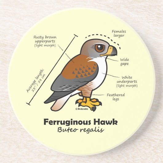 Ferruginous Hawk Statistics Zandsteen Onderzetter (Voorkant)