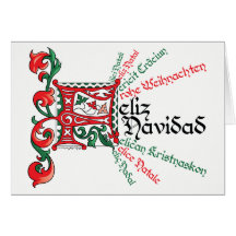 Fes para Feliz Navidad Kaart